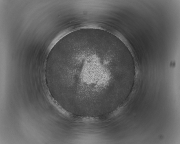 X0000111641002200908071338