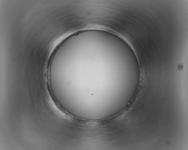 X0000111641003200908071338