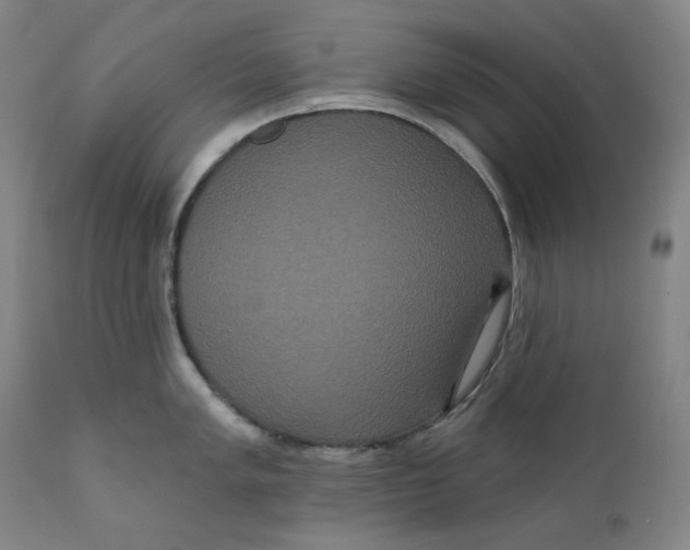 X0000111641005200908071337