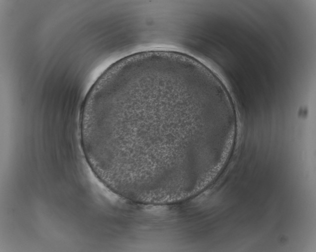 X0000111641006200908071337