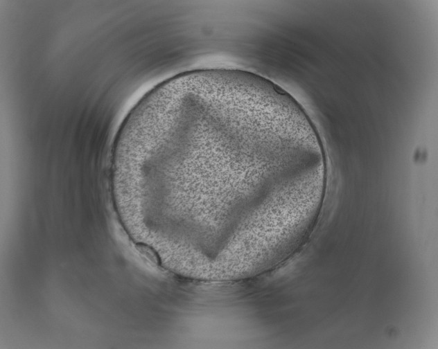 X0000111641008200908071337