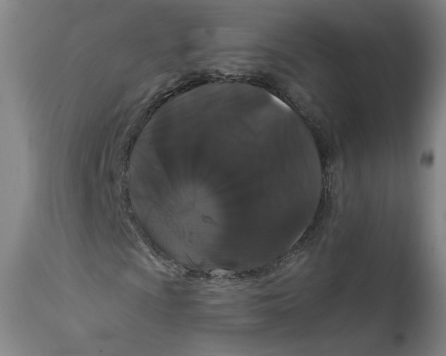 X0000111641009200908071337