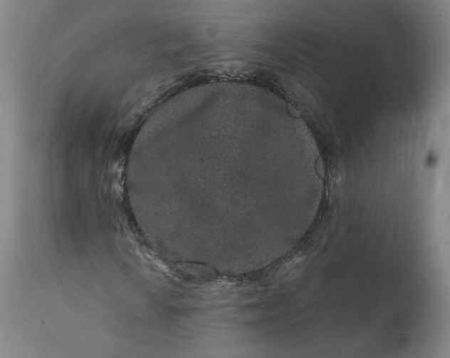 X0000111641010200908071337