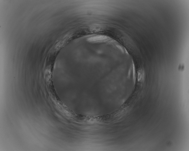 X0000111641011200908071337