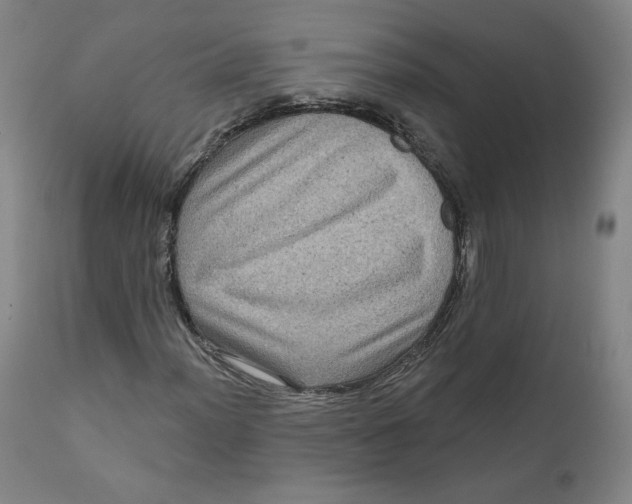 X0000111641012200908071337