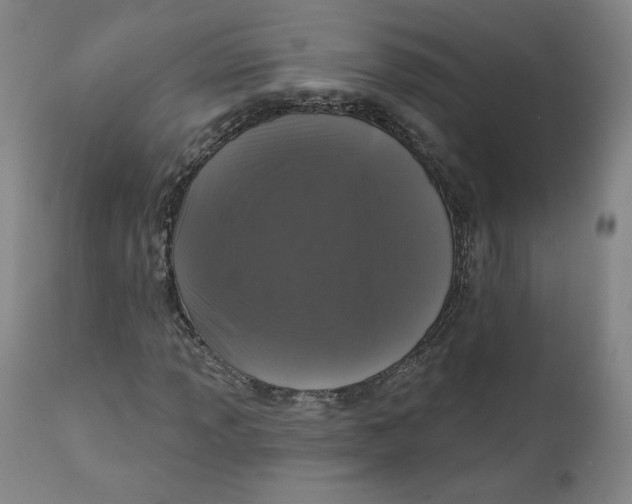 X0000111641013200908071337