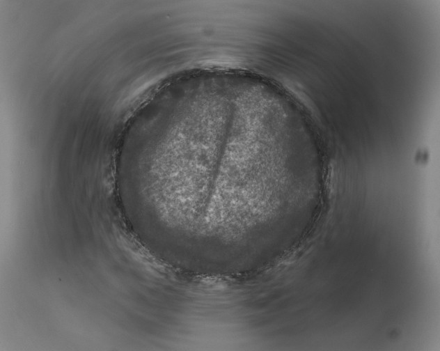 X0000111641015200908071337