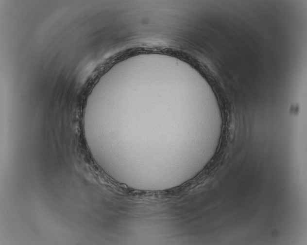 X0000111641016200908071337