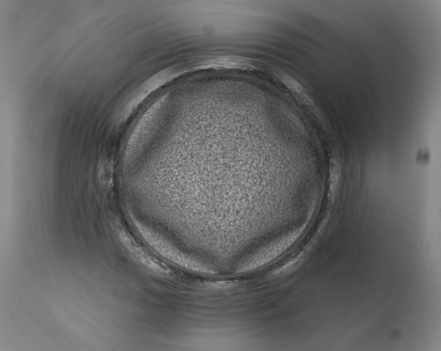 X0000111641017200908071337