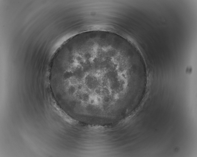 X0000111641019200908071337