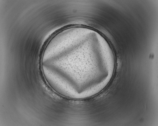 X0000111641020200908071337