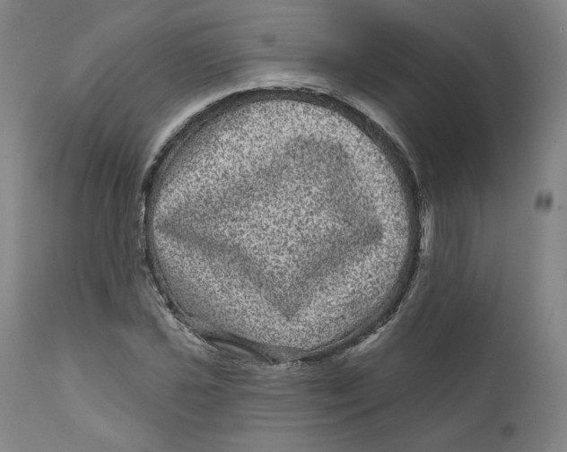 X0000111641021200908071337