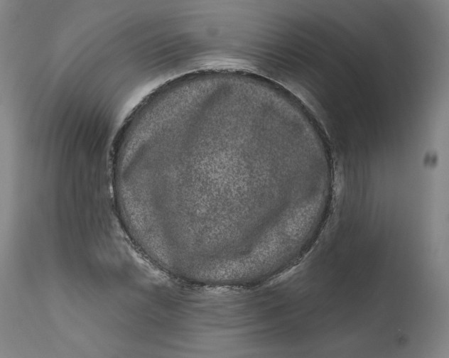 X0000111641022200908071337