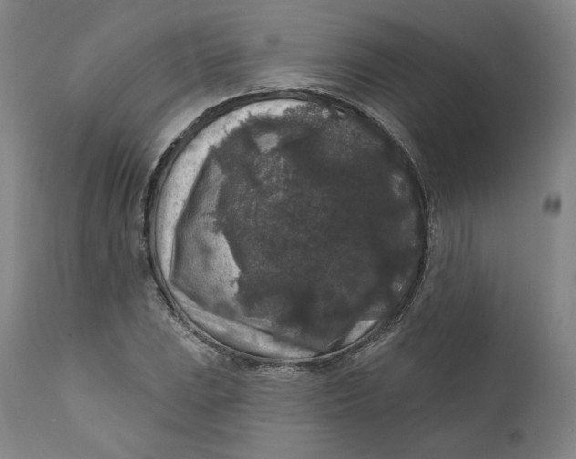 X0000111641023200908071337