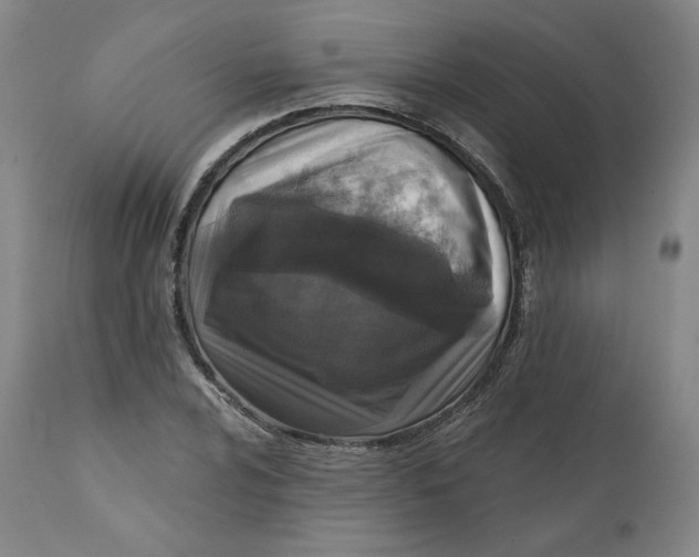 X0000111641024200908071337