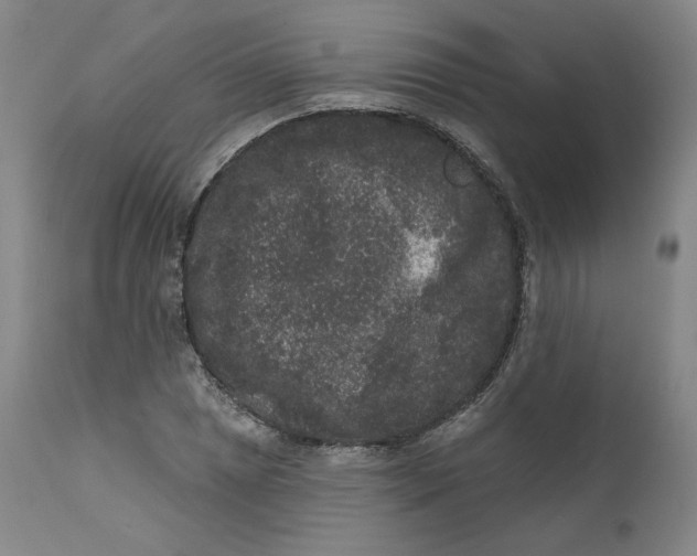 X0000111641025200908071337