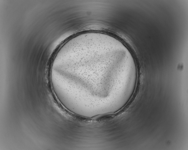 X0000111641026200908071337