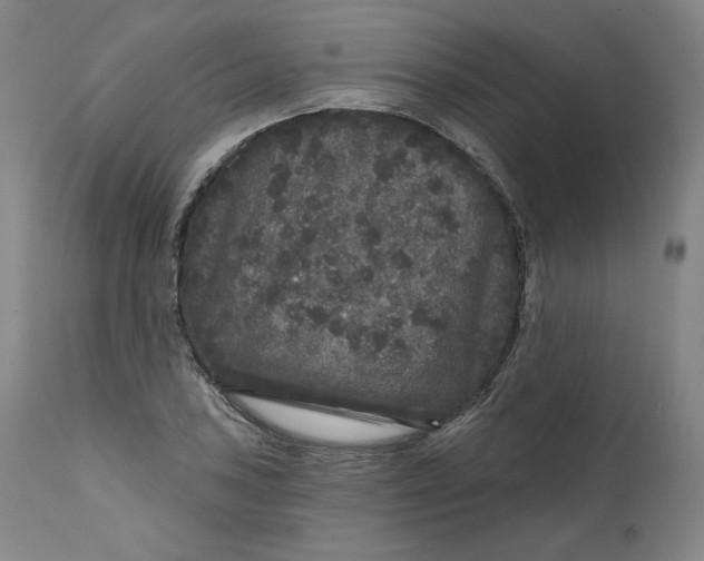 X0000111641027200908071337