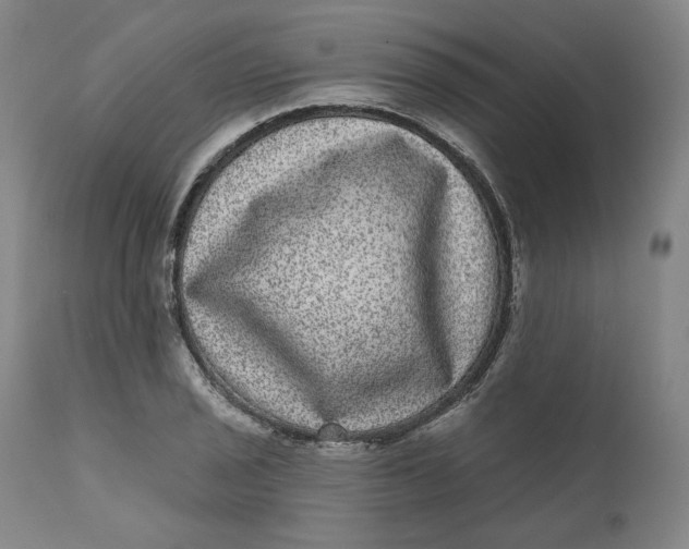 X0000111641029200908071337