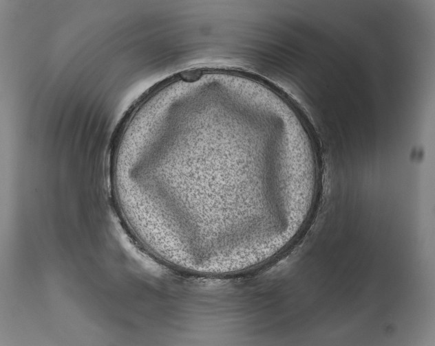 X0000111641030200908071337