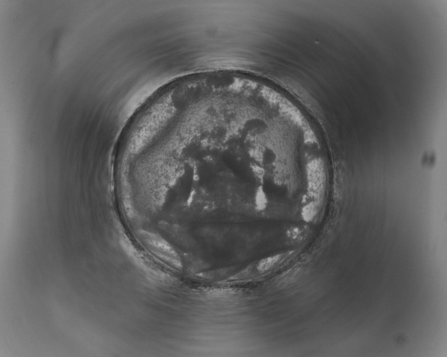 X0000111641031200908071337