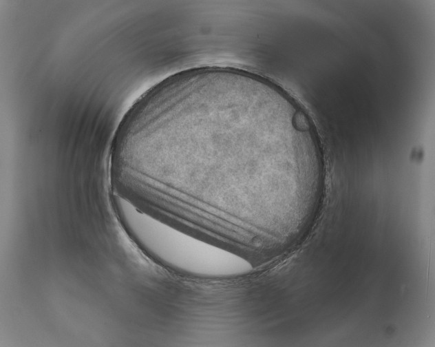 X0000111641032200908071337