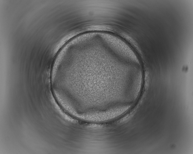 X0000111641033200908071337