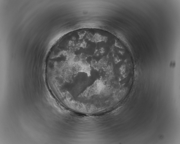 X0000111641035200908071337