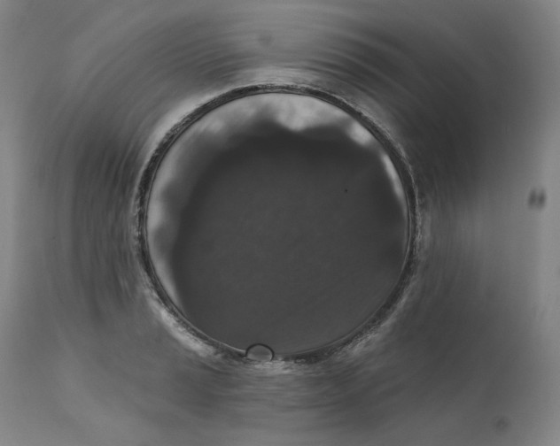 X0000111641037200908071337