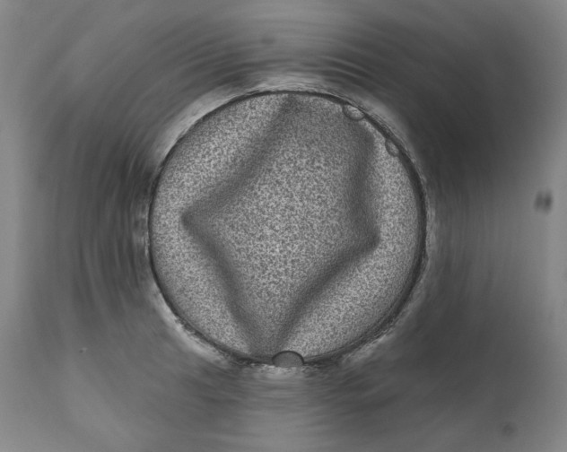 X0000111641041200908071337