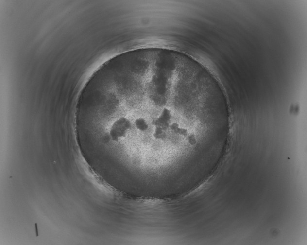 X0000111641043200908071337