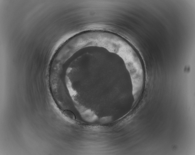 X0000111641045200908071337