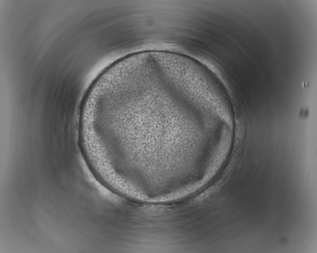 X0000111641046200908071337