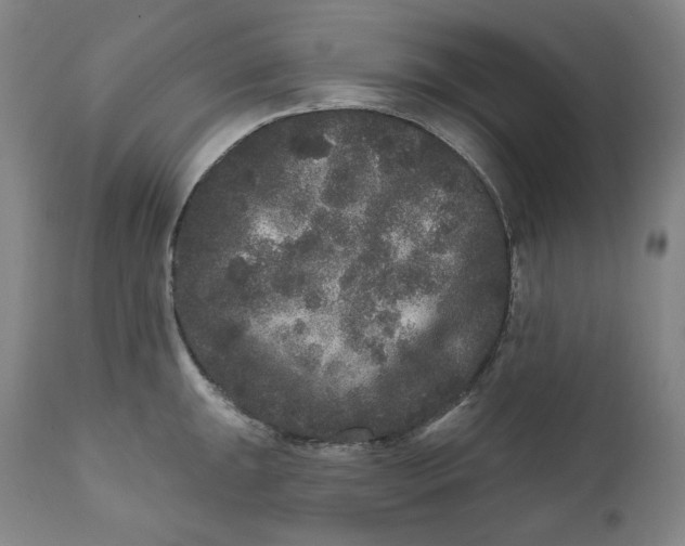 X0000111641047200908071337