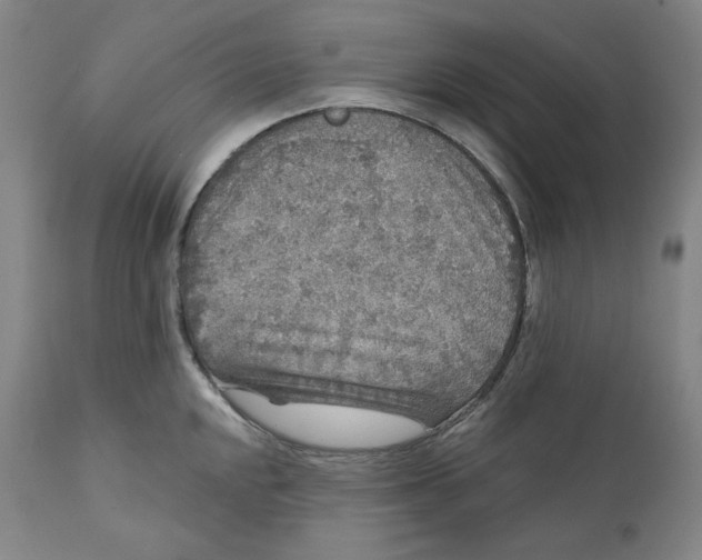 X0000111641048200908071337