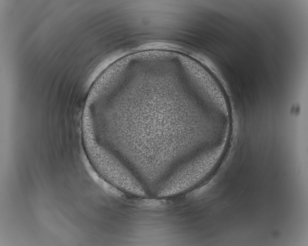 X0000111641049200908071337