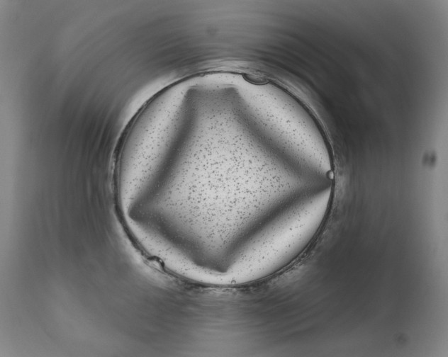 X0000111641050200908071337