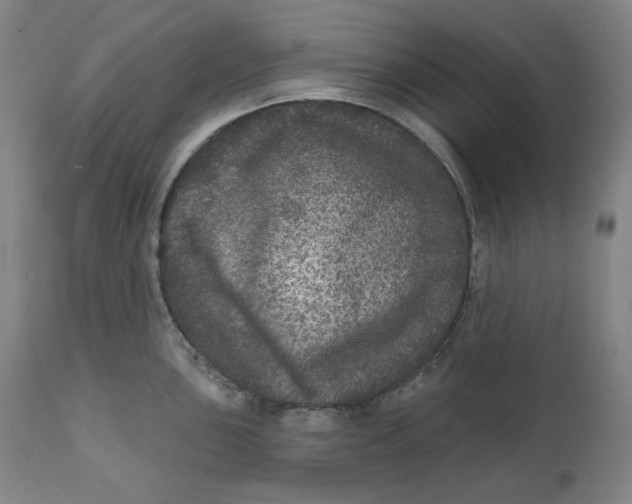 X0000111641051200908071337