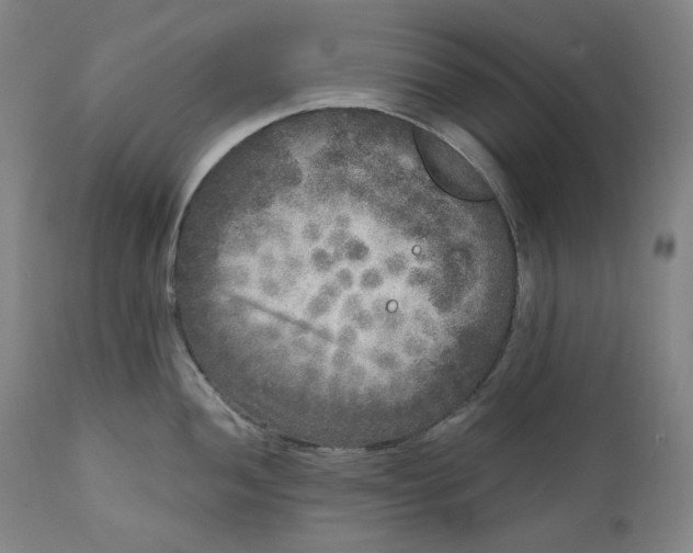 X0000111641052200908071337