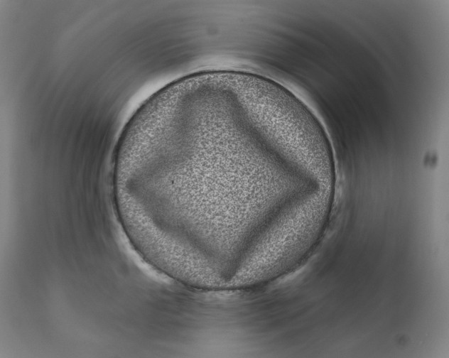 X0000111641053200908071337