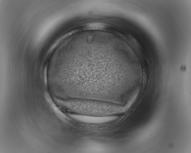 X0000111641054200908071337