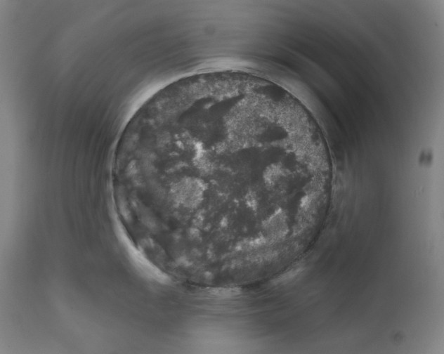 X0000111641055200908071337