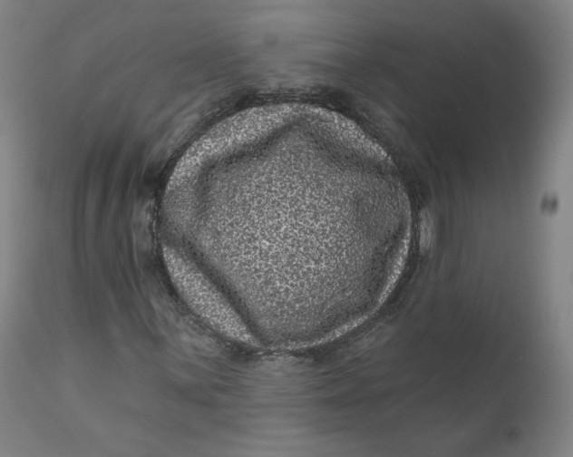 X0000111641059200908071337