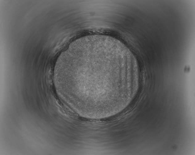 X0000111641060200908071337