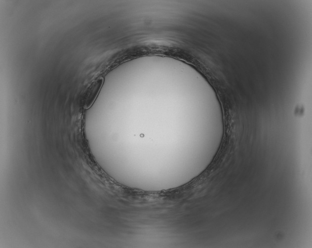 X0000111641061200908071337