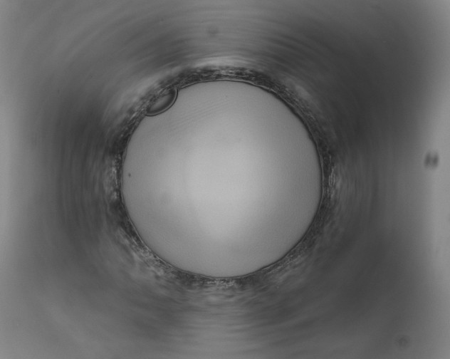 X0000111641062200908071337