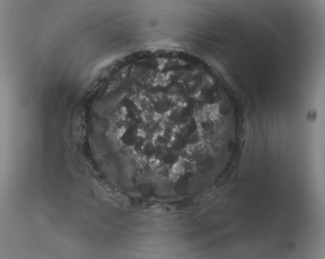 X0000111641063200908071337