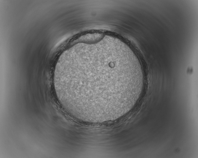 X0000111641064200908071337