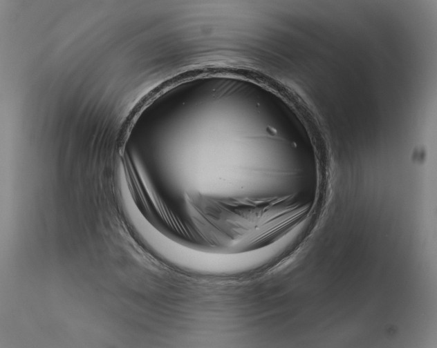 X0000111641065200908071337