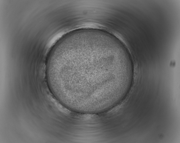 X0000111641067200908071337